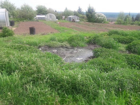 В Кировской области жители многоквартирного дома живут 30 лет без канализации