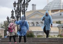 Аномально холодное лето 2019 года в европейской части России опять заставило задуматься о причинах необычных погодных явлений