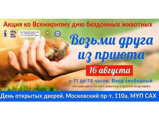 Ярославский приют для собак приглашает отметить День бездомных животных