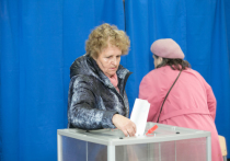 Внутри избирательной системы России до сих пор не сформирован консенсус по поводу ее ценности как таковой