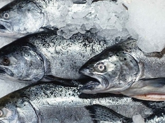 В августе хабаровчан накормят "доступной рыбой"