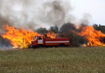 Сообщение о крупном природном пожаре поступило на пульт дежурного 01 в Дзержинске