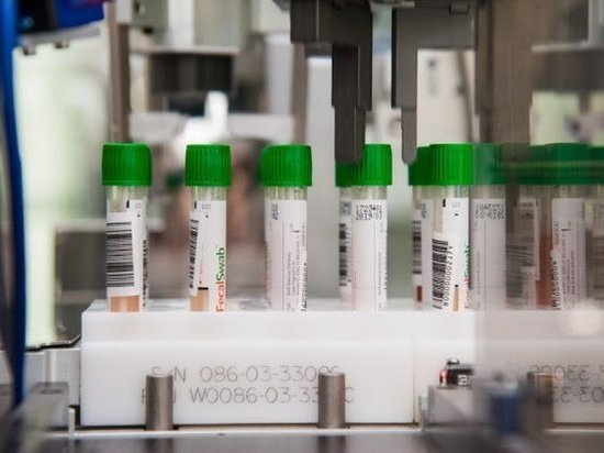 В семи районах Волгоградской области проведут вакцинацию от сибирской язвы