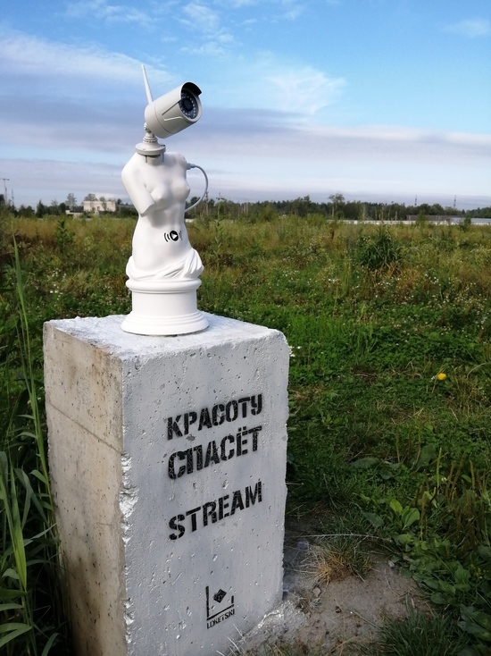 В Петербурге появилась еще одна статуя с камерой вместо головы