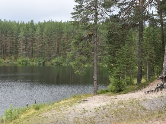 Какой будет погода на выходных в Карелии