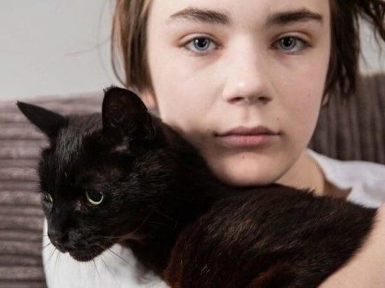 «Котом года» стал помогший аутисту справиться с горем кот из Британии