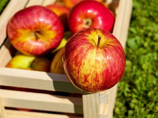 4 небанальных рецепта заготовок из яблок для волгоградцев