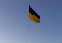 На сайте президента Украины Владимира Зеленского появилась петиция с просьбой провести в стране денежную реформу