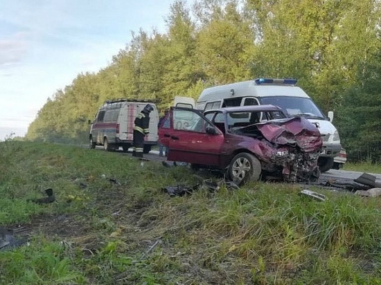 В ДТП в Удмуртии погиб водитель автомобиля