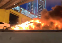 Владелец электромобиля «Тесла», который 10 августа попал в огненное ДТП и сгорел практически дотла на 40-м км МКАД, винит в аварии только себя