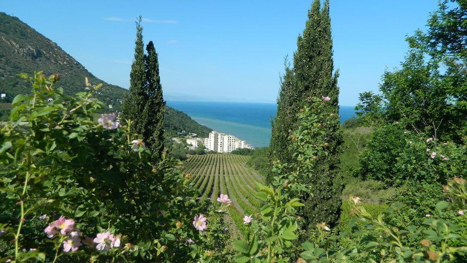 какие улицы в алуште ближе к морю. Смотреть фото какие улицы в алуште ближе к морю. Смотреть картинку какие улицы в алуште ближе к морю. Картинка про какие улицы в алуште ближе к морю. Фото какие улицы в алуште ближе к морю