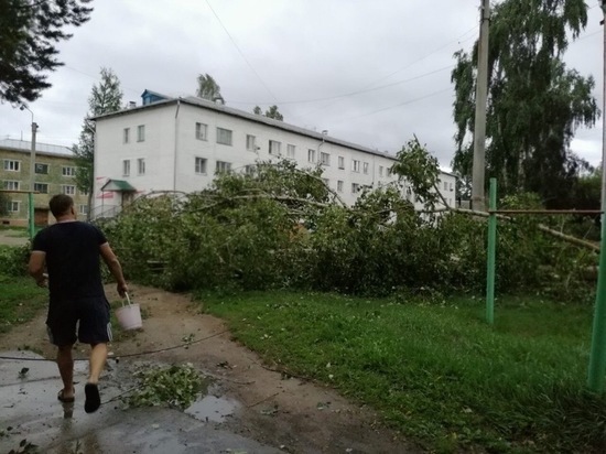 В Селенгинске в Бурятии ветер срывал крыши, валил деревья
