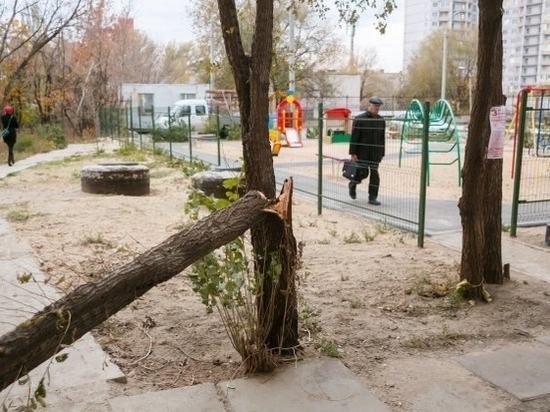 В Ворошиловском районе рухнувшее дерево перекрыло дорогу к Волге