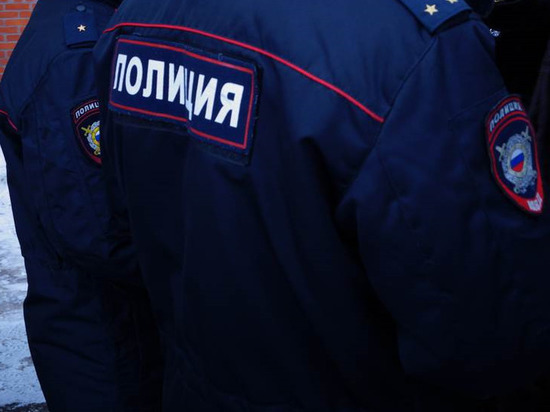 В Рязани осудят дебошира, избившего полицейского