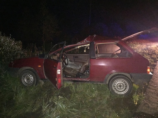 В Тверской области пострадал водитель из-за внезапного лося