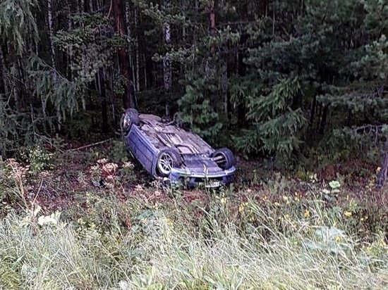 В двух авариях в Братском районе погибли два человека В двух авариях в Братском районе погибли два человека