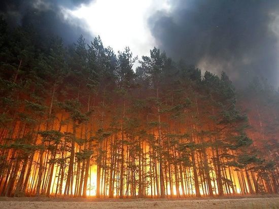NASA: пожар в лесах Сибири — крупнейший за последние 10 000 лет