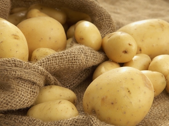 В Тамбовской области  производителям помогут продать картофель