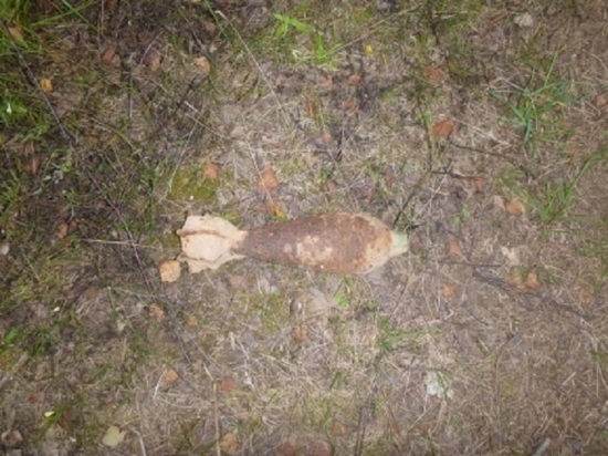 В Тверской области в земле нашли целый арсенал взрывчатки