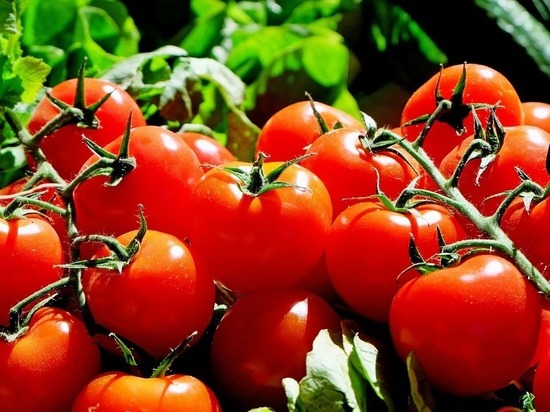 В Псковской области на 11 рублей подешевели помидоры