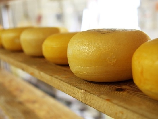 Ставрополье пятикратно увеличило производство сырных продуктов в 2019 году Ставрополье пятикратно увеличило производство сырных продуктов в 2019 году