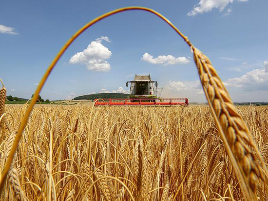 В Калмыкии собран урожай ранних зерновых культур