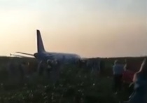 Утром в четверг, 15 августа, при вылете из подмосковного аэропорта Жуковский в двигатели самолета А-321 попали птицы