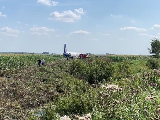 Число пострадавших при посадке A321 на поле выросло до 74
