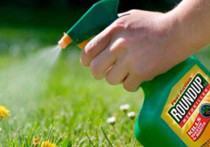 Агентство по охране окружающей среды (EPA) не одобрило новые этикетки для маркировки продуктов, в которых говорится, что химическое вещество глифосат, содержащийся в гербициде «Раундап», вызывает онкологические заболевания