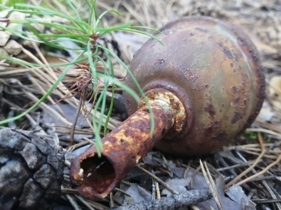 Рязанские росгвардейцы обезвредили ручную осколочную гранату
