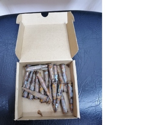 Житель Бурятии нашел 600 патронов в гараже у дяди