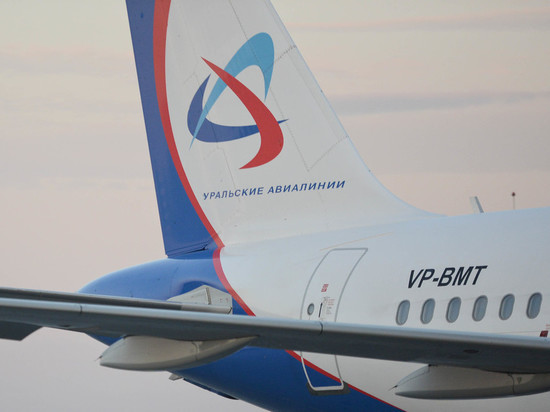 «Пассажирам ничего не сообщил»: в Екатеринбург прилетел командир Airbus, посадивший самолет на кукурузном поле