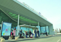 Первое полугодие 2019 года принесло аэропорту «Стригино» снижение пассажиропотока на международных линиях почти на 13 процентов