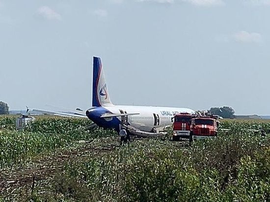Жительница Углича выжила в авиакатастрофе 15 августа