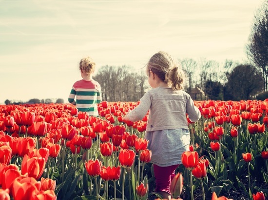 В парке Пушкина в Коврове высадят тюльпаны
