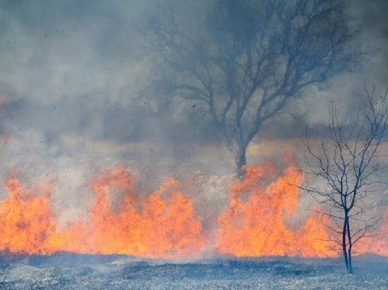 Волгоградское МЧС предупреждает о чрезвычайной пожароопасности в регионе