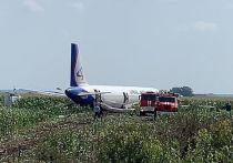 Жесткая посадка самолета А-321 недалеко от аэродрома Жуковский, которую в Сети окрестили чудом на кукурузном поле, обрастает новыми подробностями