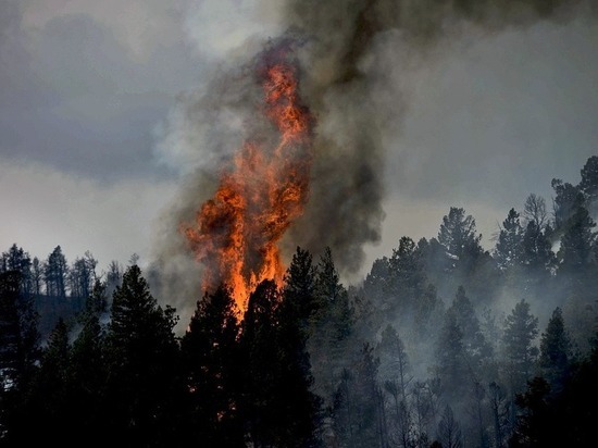 Площадь контролируемых пожаров в Забайкалье сократилась на 67%