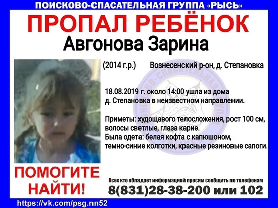 В Нижегородской области пропала пятилетняя девочка
