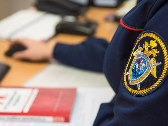 Органы опеки обвинили в халатности после убийства младенца Органы опеки обвинили в халатности после убийства младенца