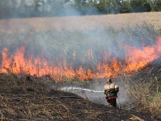 Лагерь Добровольных пожарных Кубани потушил шесть природных пожаров