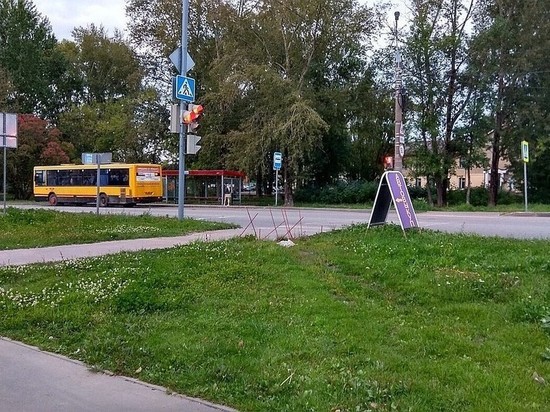 Опасно торчащую из газона арматуру обнаружили в Ижевске