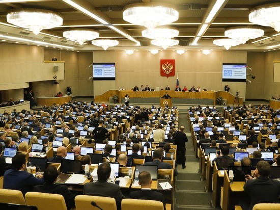 У комиссии Совета Федерации по защите суверенитета появился клон в нижней палате
