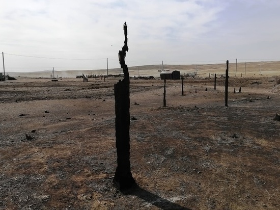 Сгоревшие чабанские стоянки в Забайкалье уберут за 4,2 млн рублей