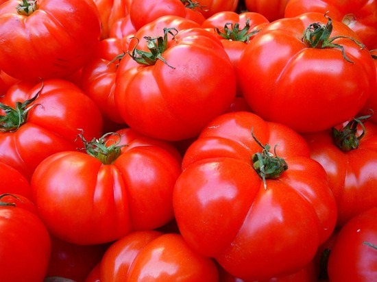 873 килограмма томатов уничтожили на Марьинском полигоне
