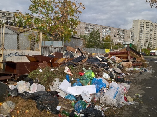 Росавиация выступила против строительства мусорного комплекса около Кольцово Росавиация выступила против строительства мусорного комплекса около Кольцово