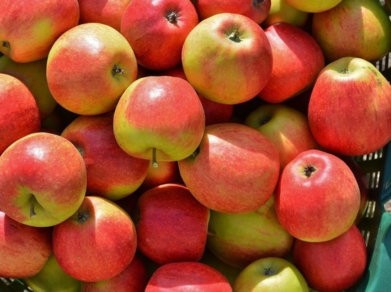 В рязанском музее-усадьбе академика Павлова освятили яблоки