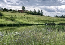 В маленьком городе Тульской области 38-летние очистные сооружения не работают и фекалии сливаются в ручей