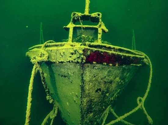 Ученые-дайверы обнародовали эпичные фото «Телецкого Титаника»