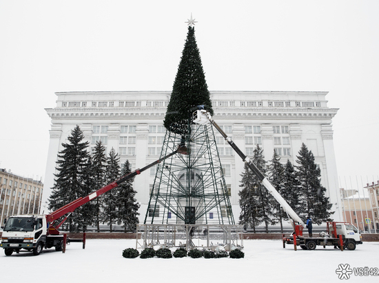 За новогоднюю ель кузбасские власти отдадут более 17 миллионов рублей
